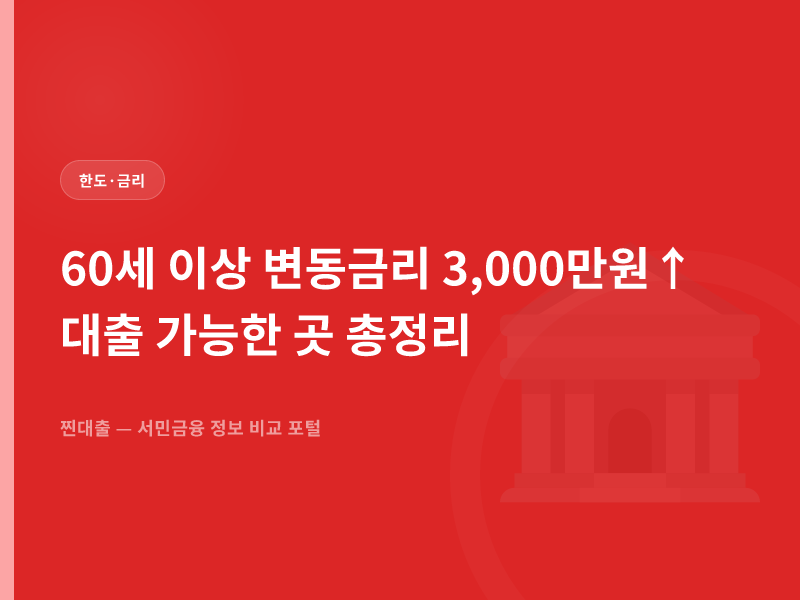 60세 이상 변동금리 3,000만원↑ 대출 가능한 곳 총정리