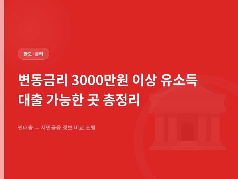 변동금리 3000만원 이상 유소득 대출 가능한 곳 총정리
