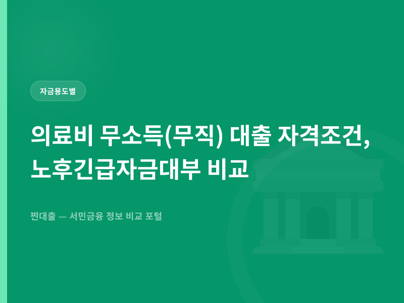 의료비 무소득(무직) 대출 자격조건, 노후긴급자금대부 비교