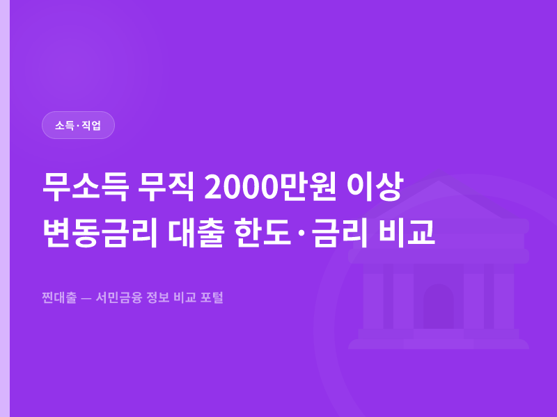 무소득 무직 2000만원 이상 변동금리 대출 한도·금리 비교