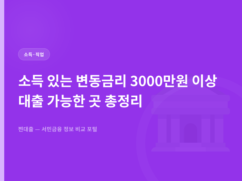 소득 있는 변동금리 3000만원 이상 대출 가능한 곳 총정리